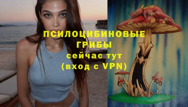дурь Белая Холуница