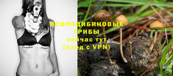каннабис Арсеньев