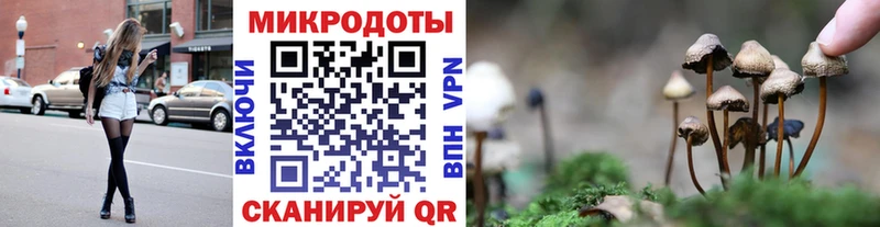 цены Кирс Псилоцибиновые грибы Psilocybe